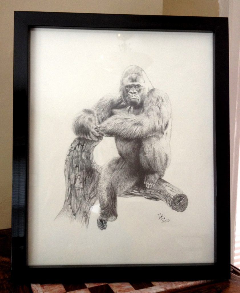 Gorilla, Daniel D. Brown, 2012, Pencil - framed