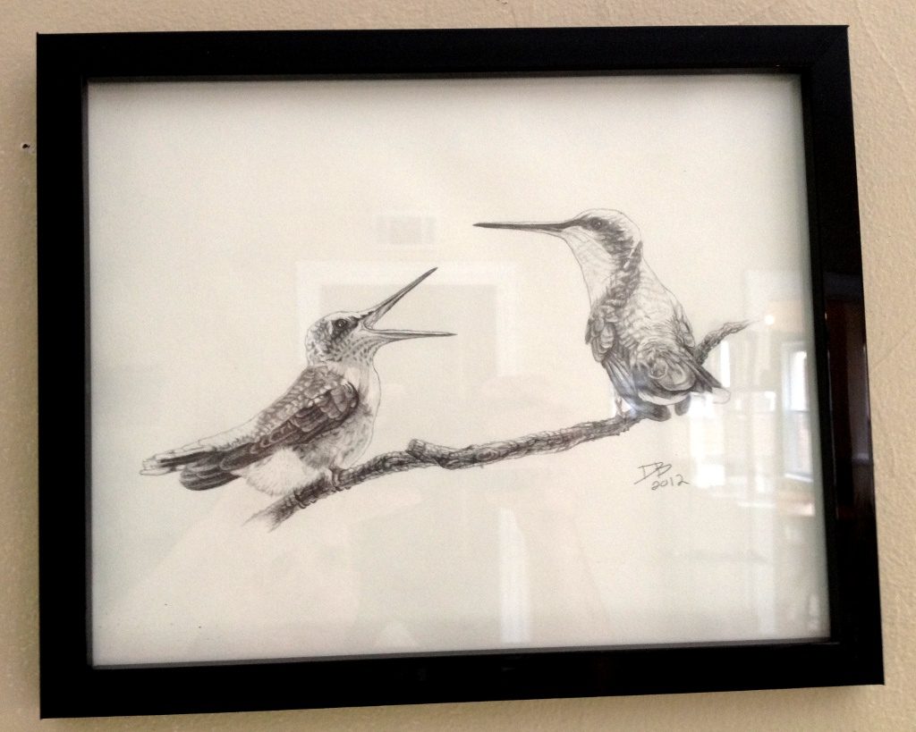 Ruby-Throated Hummingbirds: Mother and Chick, Daniel D. Brown, 2012, Pencil