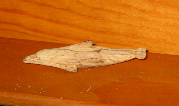 "Dolphin Carving"