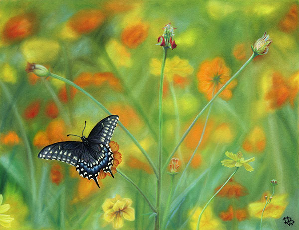 "Swallowtail Butterfly"