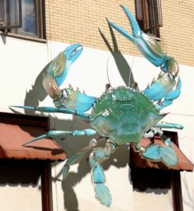 Ocean Invasion #11: We've Got Crabs